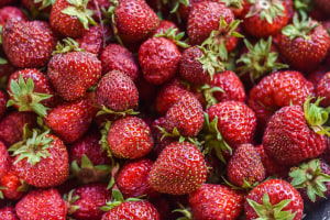 Costa adopts AI across berry farms