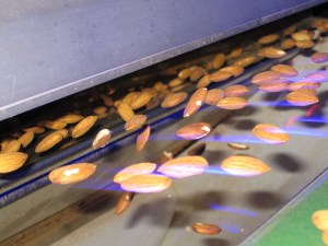 Tomra shines a Bright Light on Victorian almonds