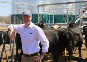 Stimulating a green change for the red meat industry