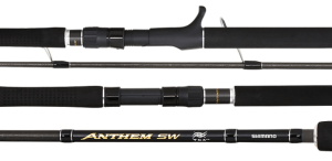 Shimano Anthem SW rods