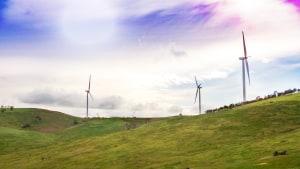 Burra Foods signs 10-year renewables agreement