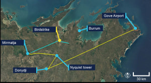 ATSB finalises Long Ranger Bird Strike Report