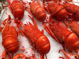 Aussie seafood industry calls for local support