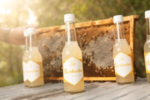 You beesbucha it’s kombucha