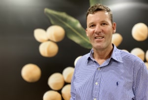 Marquis Macadamias appoints new CEO
