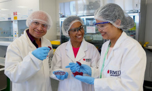 Functional ingredient to tackle obesity found