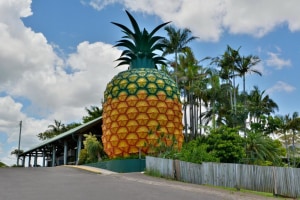 Iconic Big Pineapple to be transformed into food facility hub