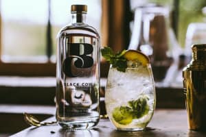  Lentil beer and milk-based vodka