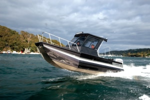 Blackdog 6.3 Cat review