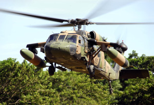 Project Echidna rolls on