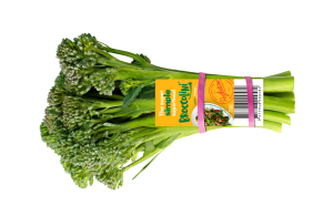 Broccolini leading the way in food waste fight