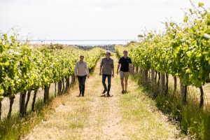 Chapel Hill Winery: golden jubilee, new vintage
