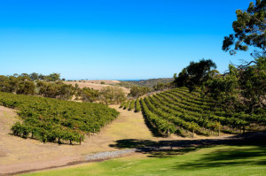 Chapel Hill joins the Endeavour
