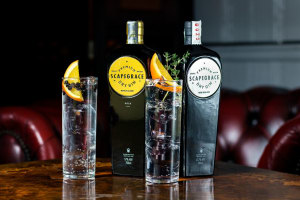 New Zealand gin named London's best