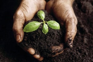 ABA launches compostable certification platform