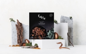 Fable raises US$8.5 million in funding round