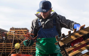 New safety program for commercial seafood sector