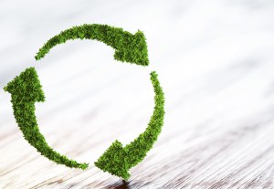 ACCC internet sweeps target greenwashing
