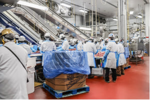 From handwritten ledgers to high-tech pork production