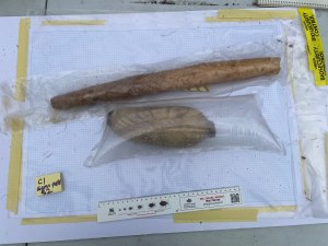 38 tonnes of biosecurity risk materials seized in NSW 
