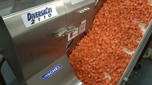 From fresh veg to freeze dried treats