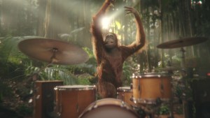 Darrell Lea declared palm oil free 