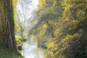 Show us your favourite image from 2025!