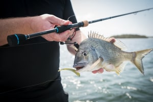 VIDEO: Abu Garcia's Rayrex range on Lake Mac