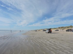 Kingston SE Surf Fishing Contest report