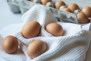 Free range egg volumes rise as national standard rolls out