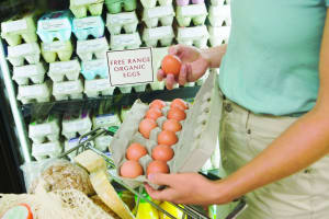 WA egg producer fined $750,000 for false 'free range' claims