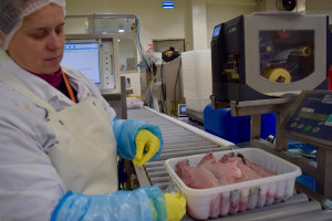 Four challenges in the fish industry &ndash; and ways to master them digitally