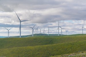 Coles moves closer to 100% renewables