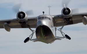 FRIDAY FLYING VIDEO: Erica the Albatross