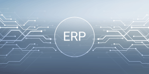 Three tips for the selection of an ERP system for the food industry