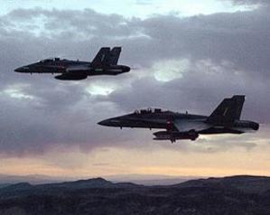 Melbourne Airport welcomes new resident