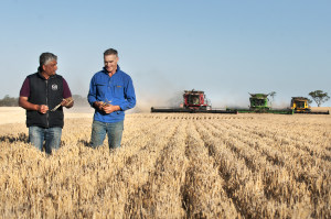 Asahi builds new barley supply chain