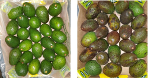 Flexfresh shelf life solutions