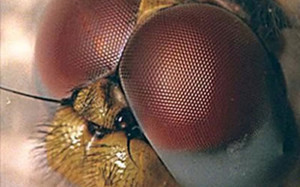 Intelligent design for smarter weapons