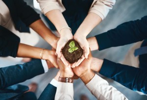 Businesses want decarbonisation, but urgent action is needed