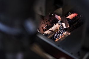 A crushing waste