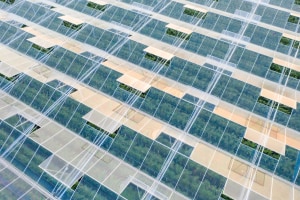 Infusing sustainability into business