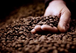 Research: climate impacts on global coffee supply