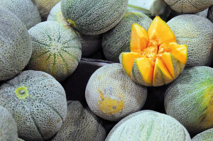 Rockmelon farm resumes production following listeria outbreak