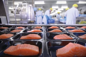 Canadian Cooke hooks Tassal for $1.1 billion 