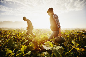 Adapting to a changing labour market