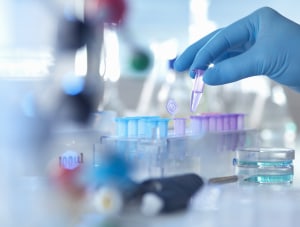 GM food labelling &ldquo;no longer fit for purpose&rdquo;: FSANZ