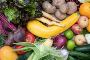 Good & Fugly starts food rescue hotline