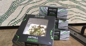 Cheese topped with Aussie ants heads to US