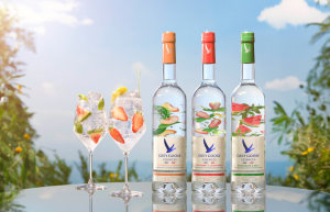 Grey Goose plays to essences 